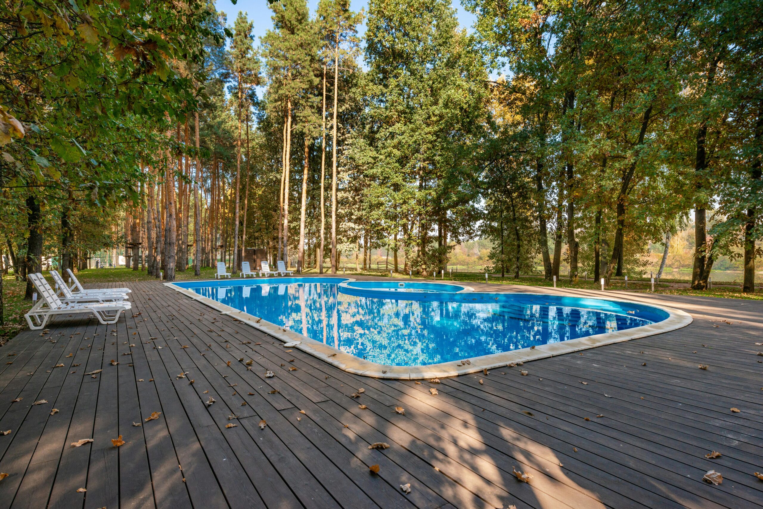 Serene outdoor pool deck with sun loungers amongst tall trees, ideal for a summer retreat.